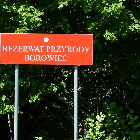 - Ksiezyc Pod Sosnami *