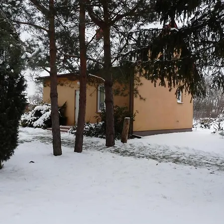 - Ksiezyc Pod Sosnami * Chotcza Dolna